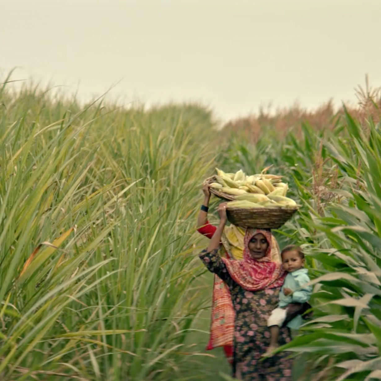 Salam Kissan (Sarsabz Fertilizer)